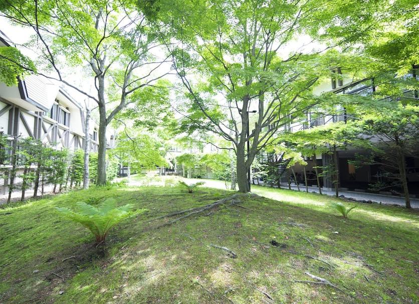 Outdoor view Photo