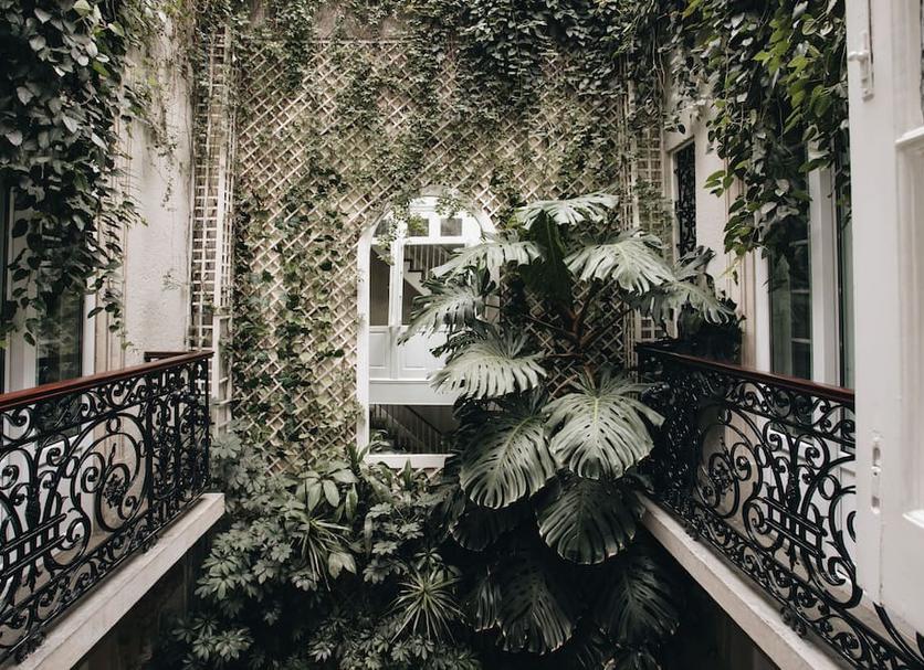 Outdoor view Photo
