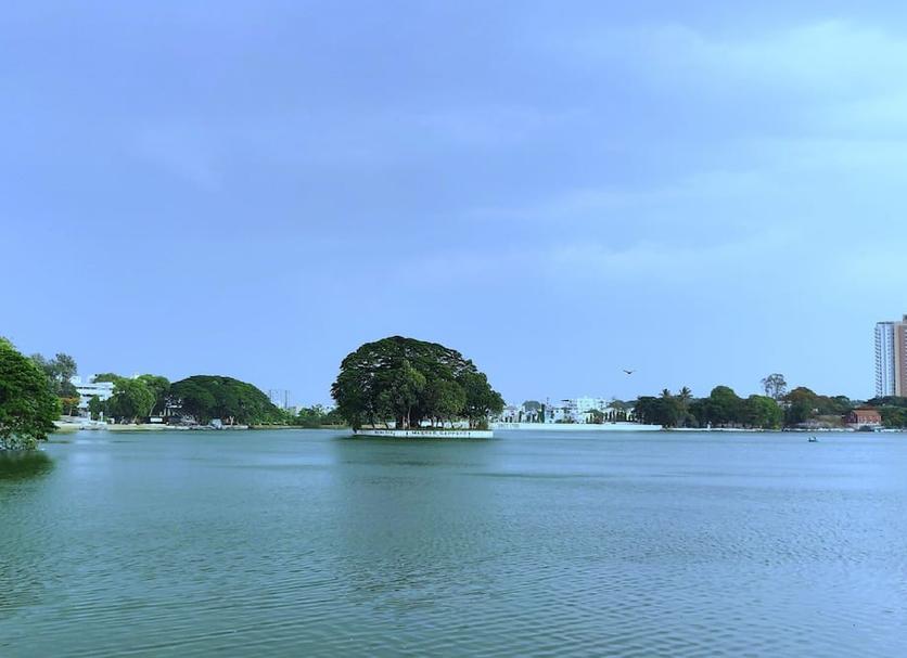 Other Photo