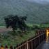 Outdoor view