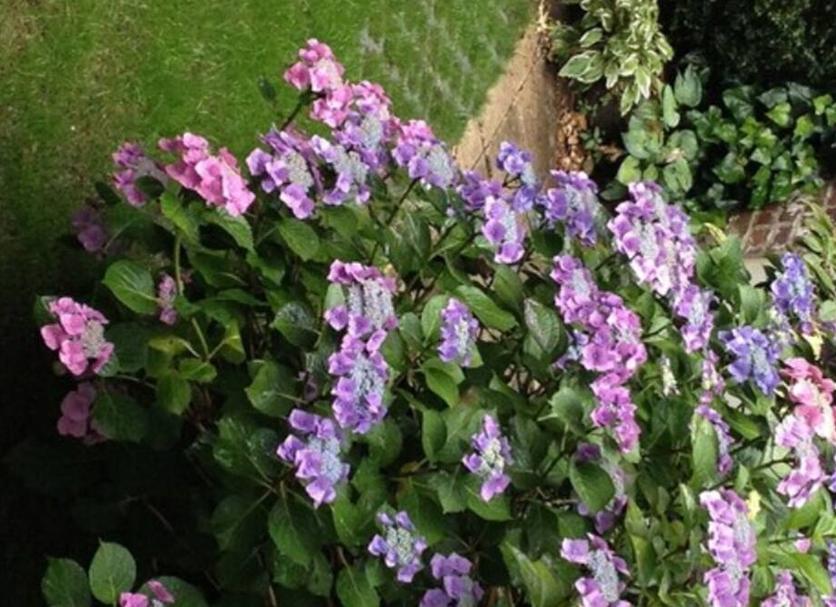 Outdoor view Photo