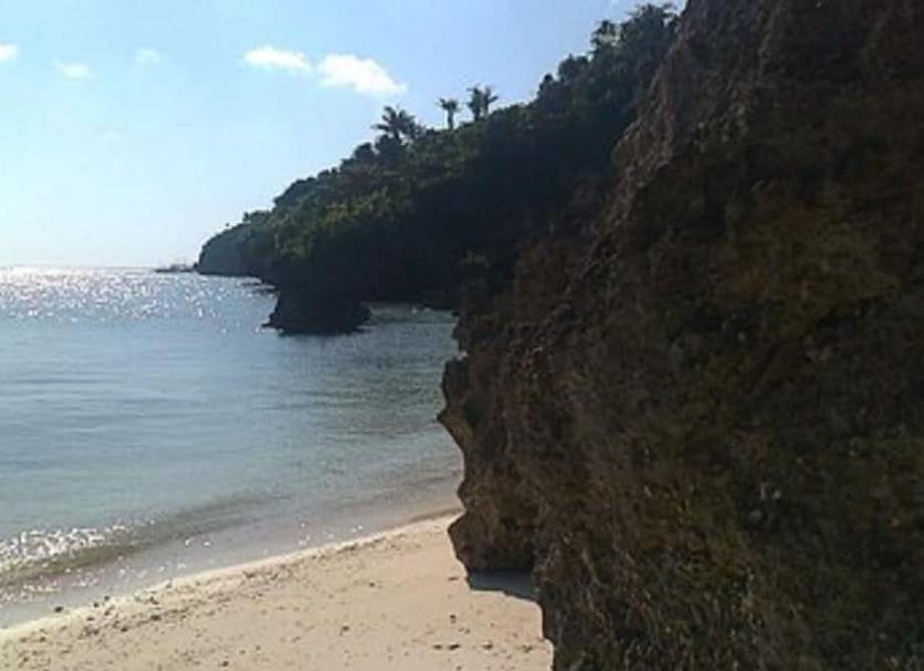 Other Photo