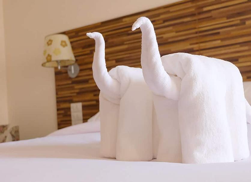 Room amenity Photo