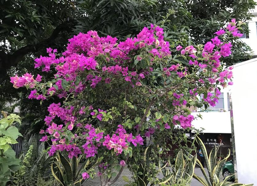 Outdoor view Photo