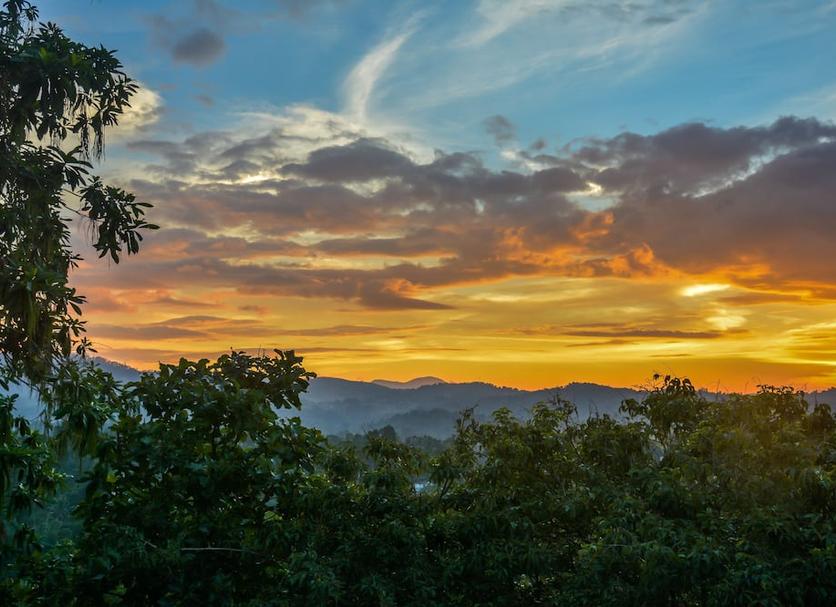 Outdoor view Photo