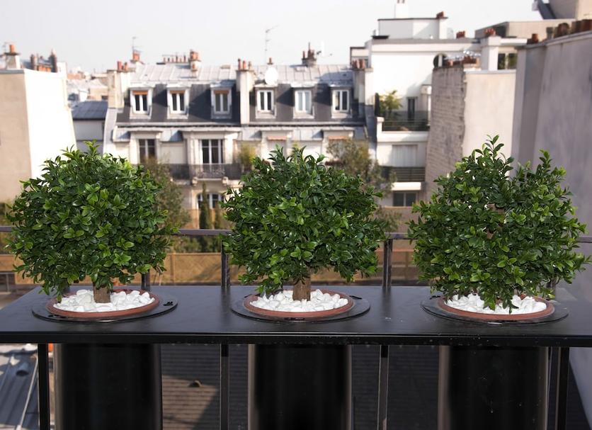 Balcony Photo