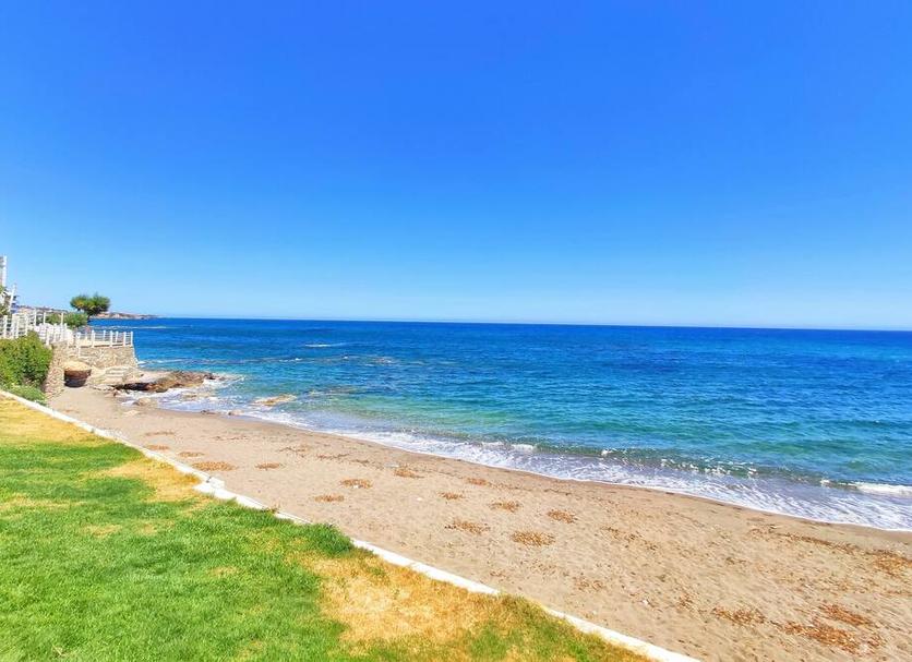 Beach Photo