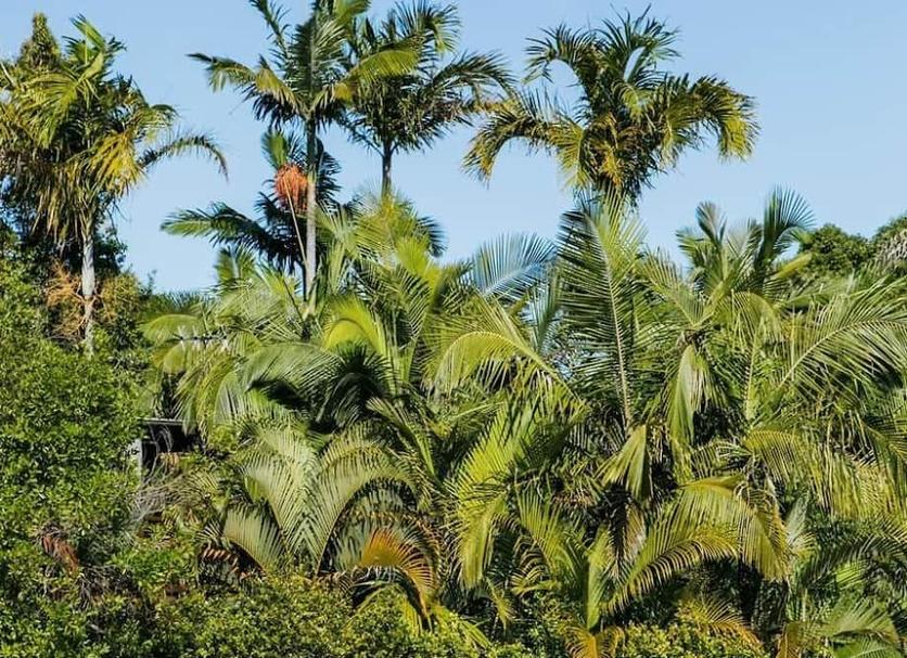 Outdoor view Photo