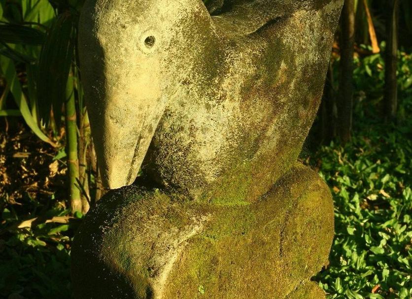 Other Photo
