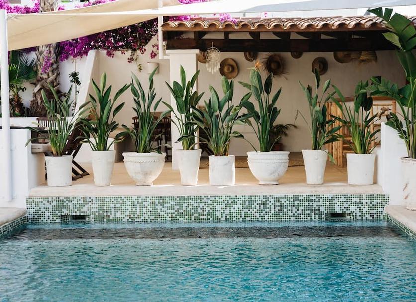 Pool Photo