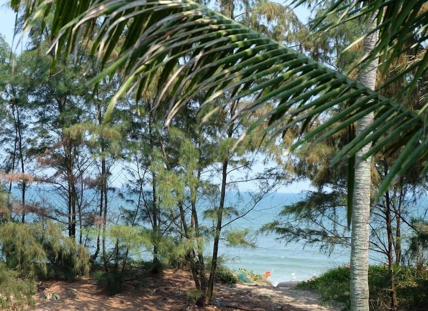 Outdoor view Photo