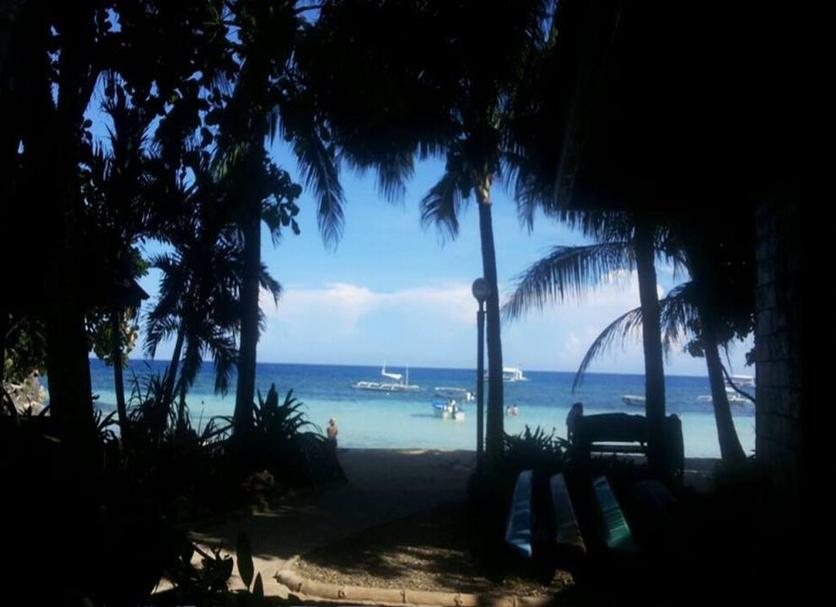 Other Photo