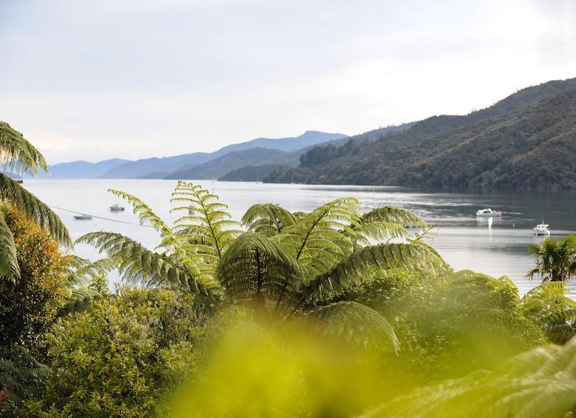 Outdoor view Photo