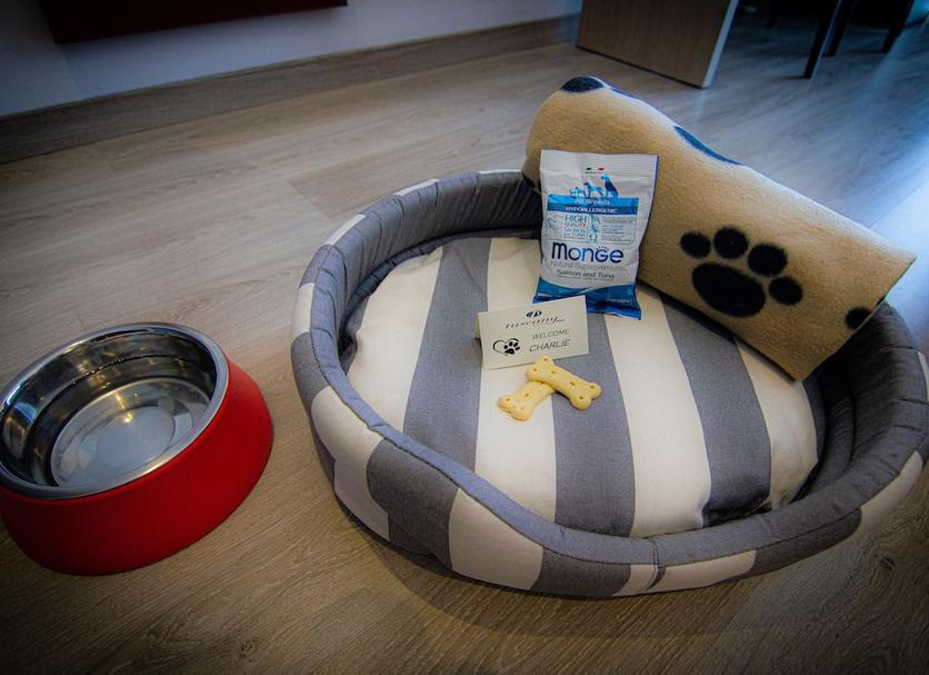 Room amenity Photo