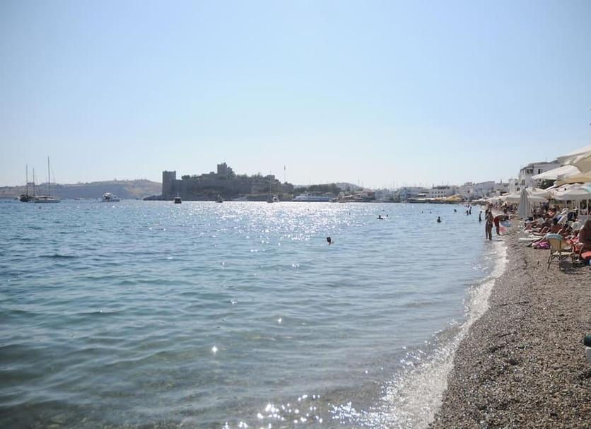 Other Photo