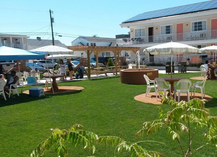 Patio Photo