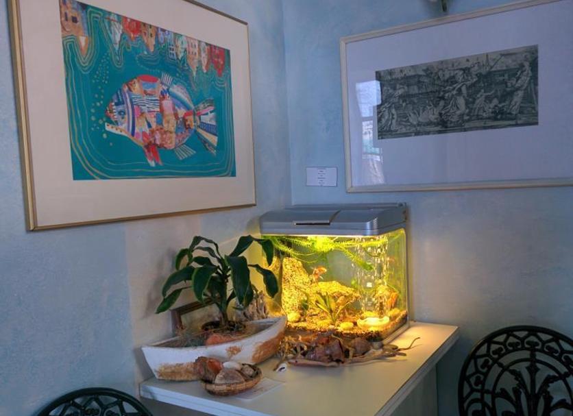Room amenity Photo