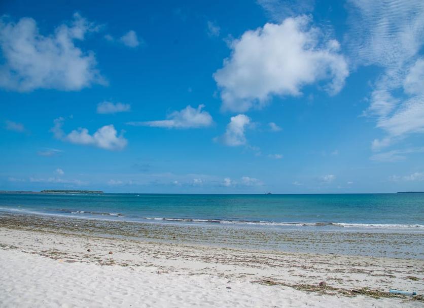 Beach Photo