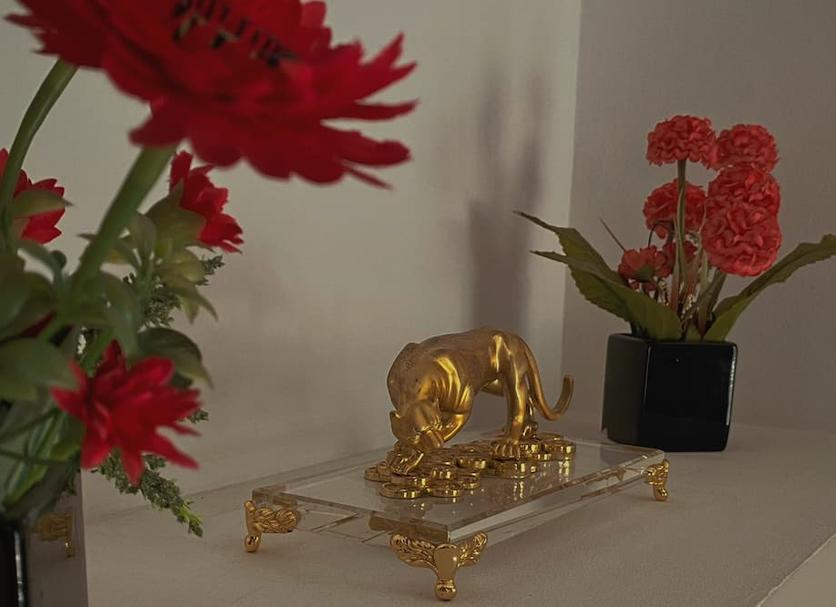 Room amenity Photo