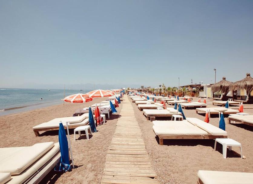 Beach Photo