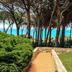 Outdoor view