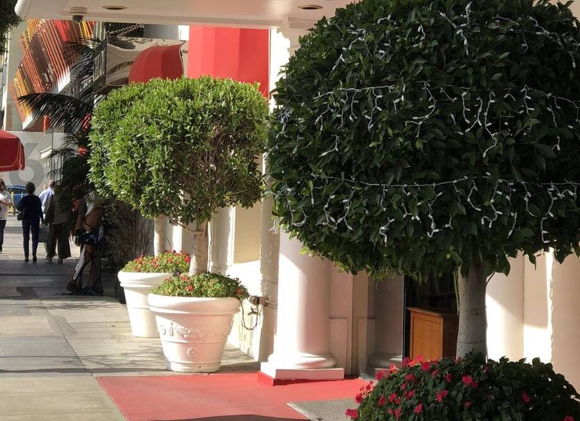 Outdoor view Photo