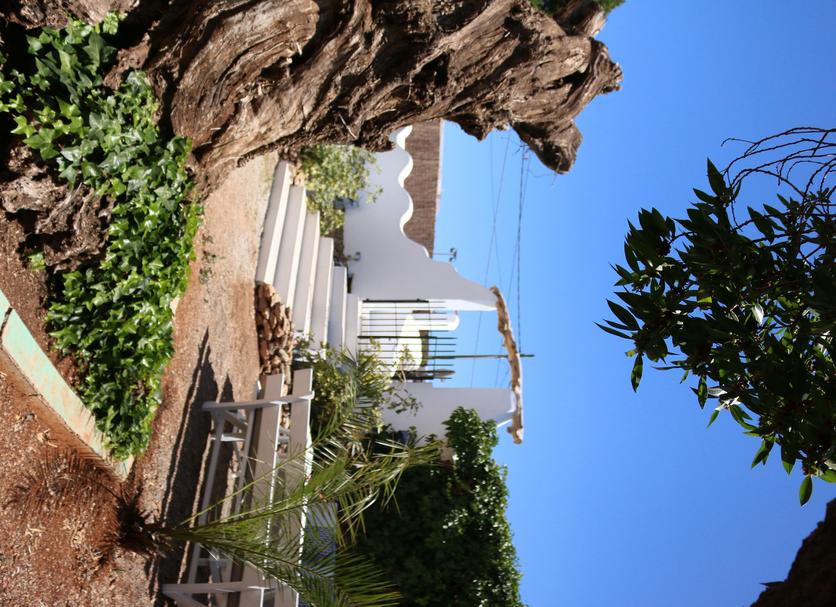 Other Photo